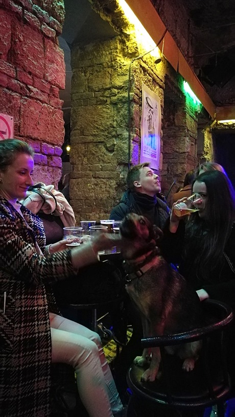Instant in Nagymező street was a dogfriendly place - Pubtourist